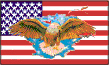 USA-Adler